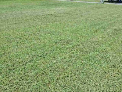 Lawn Care service in Burbank, 91502