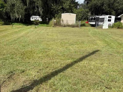 Lawn Care service in Lithia, 33547