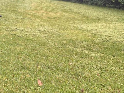 Lawn Care service in Hudson, 34667