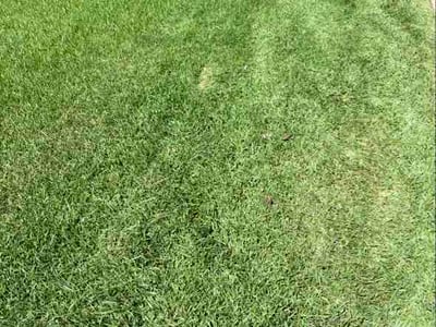 Lawn Care service in Harvey, 70058