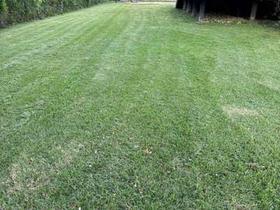 Lawn Care service in West Columbia, 29169