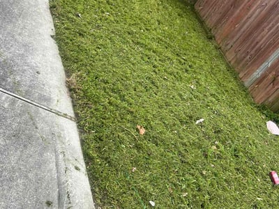 Lawn Care service in Surprise, 85374