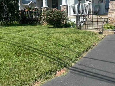 Lawn Care service in Glenside, 19038