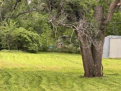 Lawn Care service in Tuscon, 85705