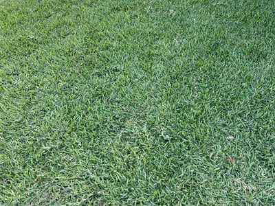 Lawn Care service in Spicewood, 78669