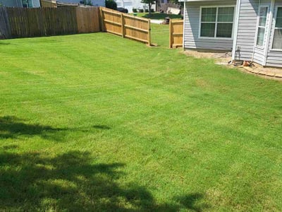 Lawn Care service in Lithonia, 30058