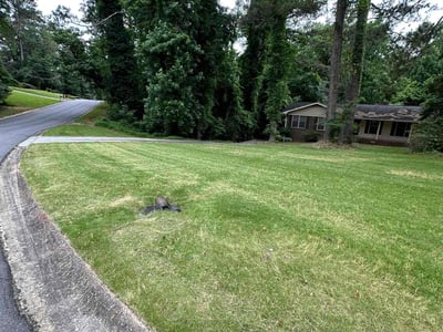 Lawn Care service in Arcadia, 91007