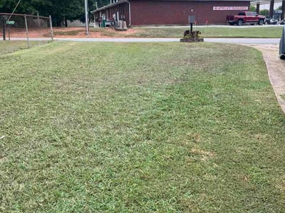 Lawn Care service in Griffin, 30224