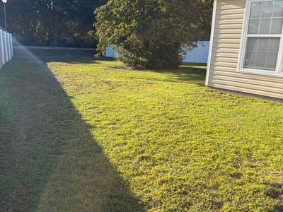 Lawn Care service in Murrells Inlet, 29576