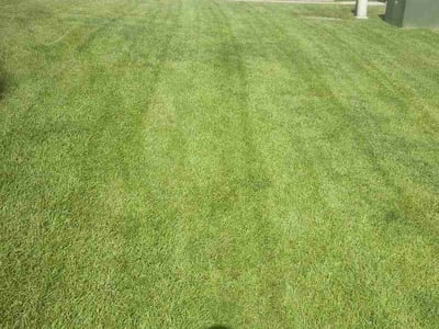 Lawn Care service in Ladson, 29456