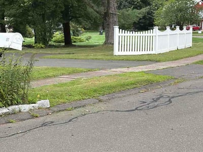 Lawn Care service in South Windsor, 06074