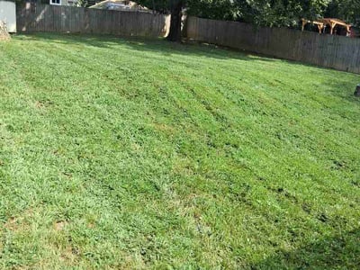 Lawn Care service in Loudon, 37774