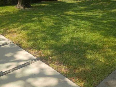 Lawn Care service in Roanoke, 76262