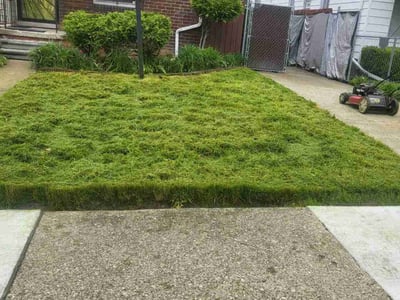 Lawn Care service in Moreno Valley, 92557