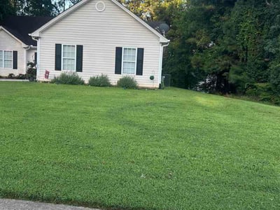 Lawn Care service in Monroe, 30655
