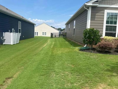 Lawn Care service in Sahuarita, 85629