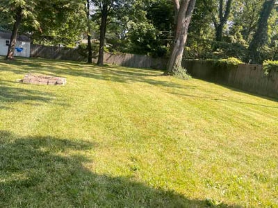 Lawn Care service in Mckeesport, 15132