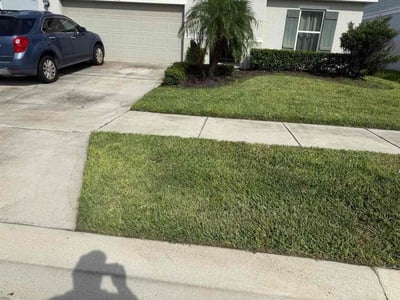 Lawn Care service in Winter Haven, 33881
