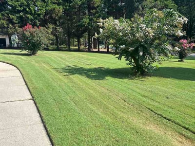Lawn Care service in Hampton, 30228