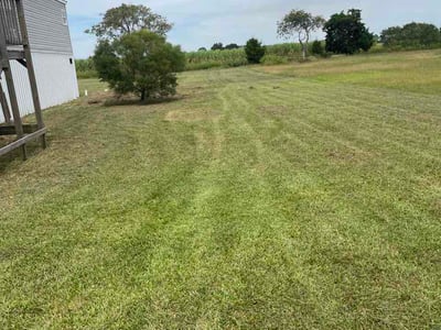 Lawn Care service in Abbeville, 70510