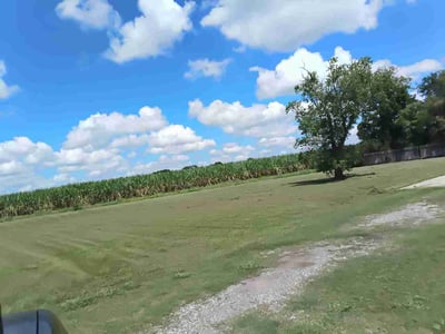 Lawn Care service in Abbeville, 70510