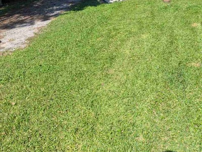 Lawn Care service in Abbeville, 70510