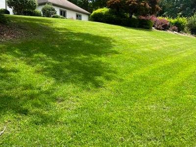 Lawn Care service in Duluth, 30096