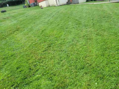 Lawn Care service in Coraopolis, 15108