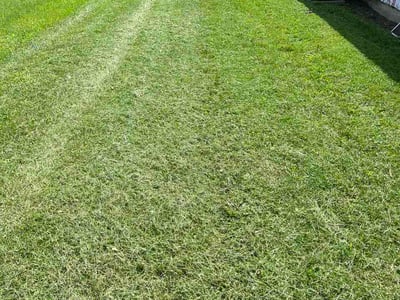 Lawn Care service in Glenshaw, 15116