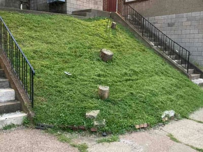 Lawn Care service in Gibsonia, 15044