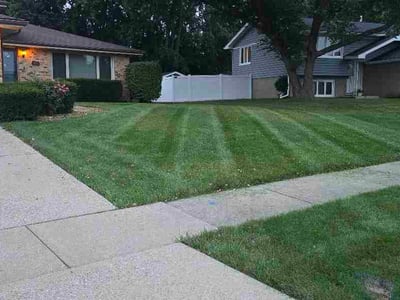 Lawn Care service in Lake In The Hills, 60156