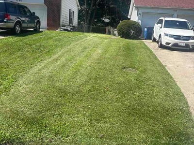 Lawn Care service in Wauseon, 43567