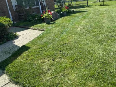 Lawn Care service in Gahanna, 43230