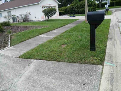 Lawn Care service in Plant City, 33563