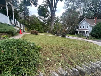 Lawn Care service in Bensalem, 19020
