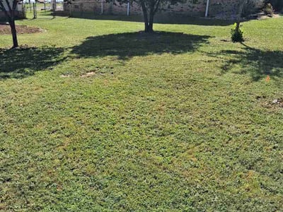 Lawn Care service in Cantonment, 32533