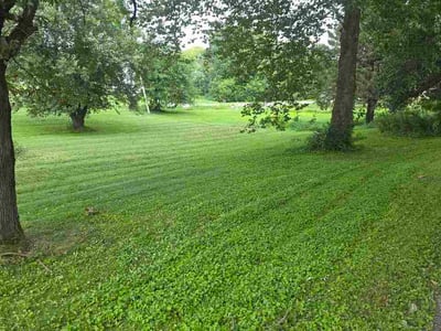 Lawn Care service in Bensalem, 19020