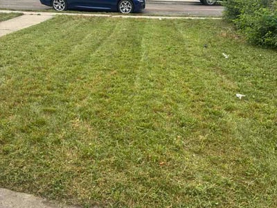 Lawn Care service in Schaumburg, 60194