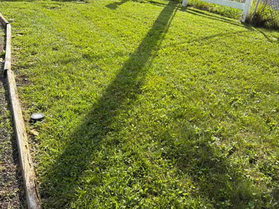 Lawn Care service in York, 17401