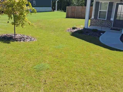 Lawn Care service in Augusta, 30904
