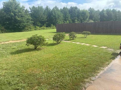 Lawn Care service in Chelsea, 35043