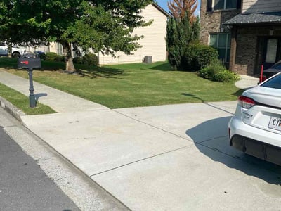 Lawn Care service in Chelsea, 35043