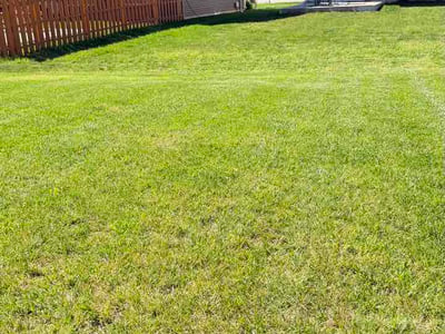 Lawn Care service in Cumberland, 46229