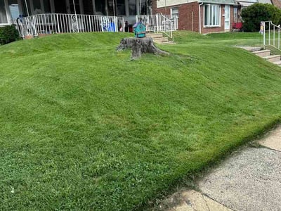 Lawn Care service in Drexel Hill, 19026