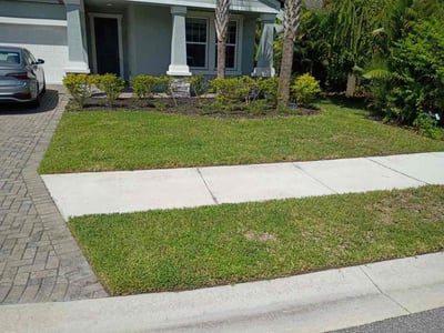 Lawn Care service in Bradenton, 34205