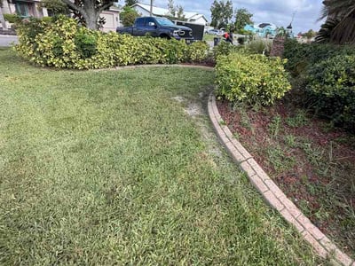 Lawn Care service in Apollo Beach, 33572