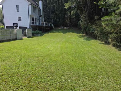 Lawn Care service in Birmingham, 35203