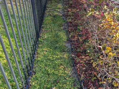 Lawn Care service in Apollo Beach, 33572