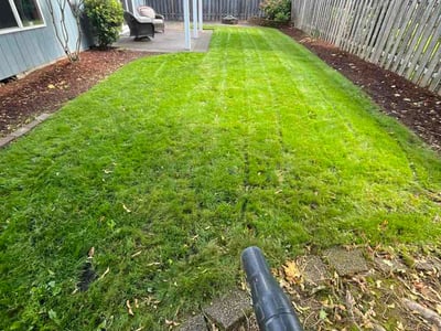Lawn Care service in Canby, 97013