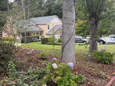 Lawn Care service in Powder Springs, 30127